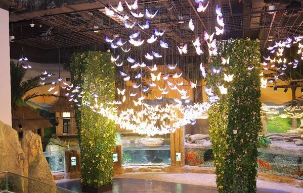 Thủy Cung Lotte World - Điểm Đến Du Lịch Trong Nhà Lý Tưởng Cho Gia Đình Tại Hà Nội Thủy Cung Lotte World - Điểm Đến Du Lịch Trong Nhà Lý Tưởng Cho Gia Đình Tại Hà Nội