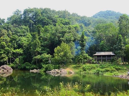 Rừng tự nhiên Bằng Tạ - Thiên đường sinh thái gần kề Hà Nội Rừng tự nhiên Bằng Tạ - Thiên đường sinh thái gần kề Hà Nội