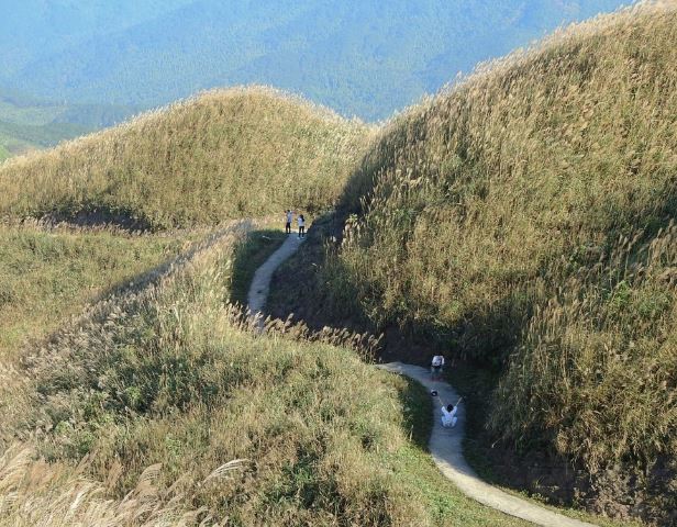 Hàng Lau Sậy và Cột Mốc Biên Giới Hàng Lau Sậy và Cột Mốc Biên Giới