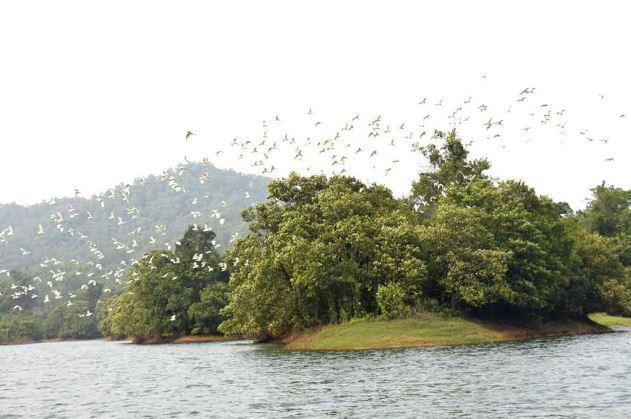 Hồ Trúc Bài Sơn: Nét Thiêng Liêng Hồ Trúc Bài Sơn: Nét Thiêng Liêng