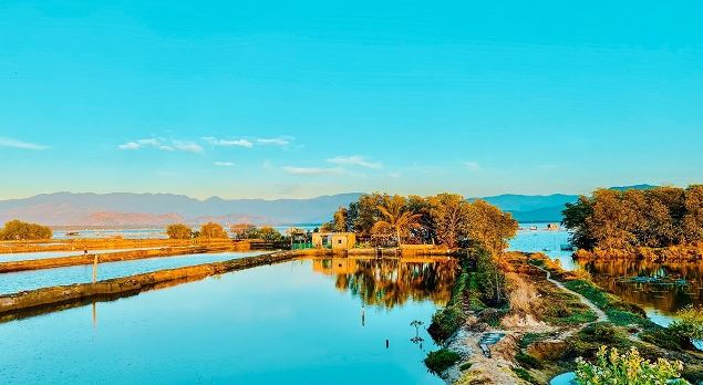 Đầm Thủy Triều Phú Yên Đầm Thủy Triều Phú Yên