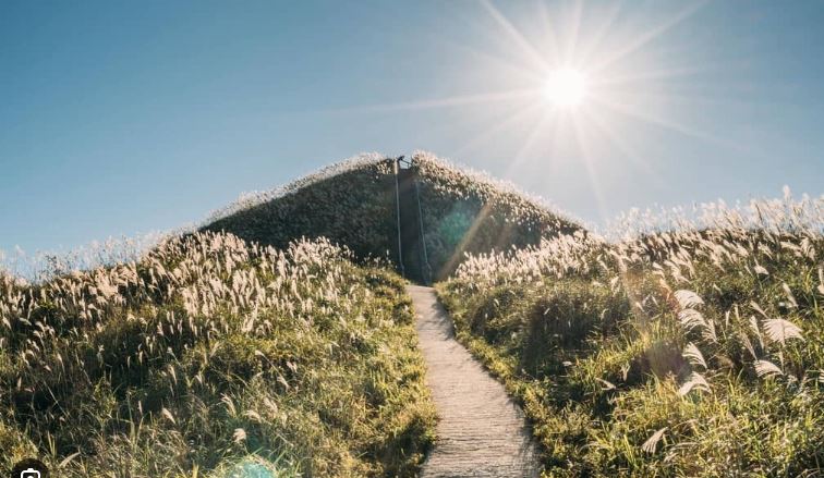 Du lịch Đình Lập: Thiên đường cỏ lau và đồi chè xanh ngát Du lịch Đình Lập: Thiên đường cỏ lau và đồi chè xanh ngát