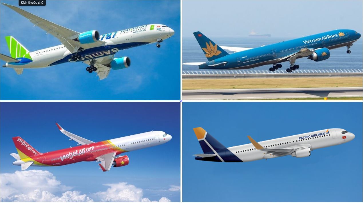 Các Hãng hàng không Nội địa Các Hãng hàng không Nội địa