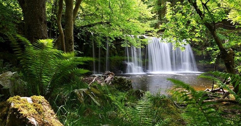 Vườn Quốc Gia Phú Quốc